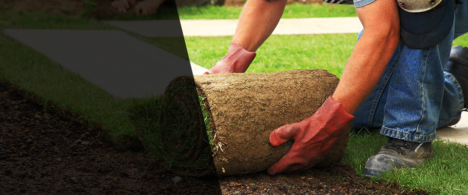 Walkersville Landscapers